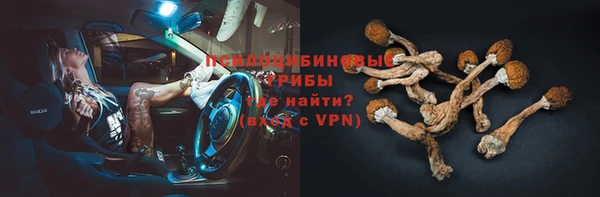 дурь Алексин