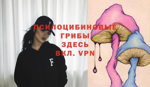 дмт Абинск