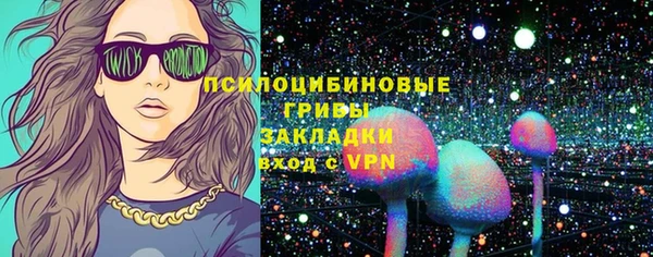 дурь Алексин