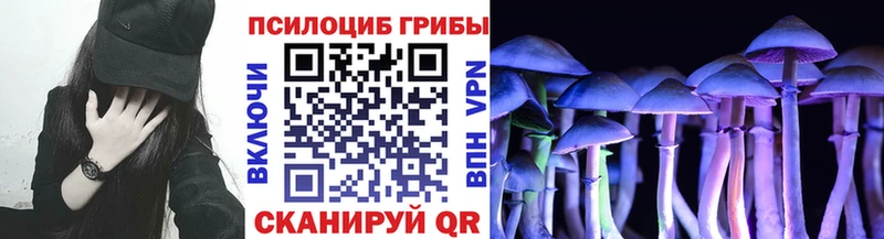 Галлюциногенные грибы прущие грибы  KRAKEN ONION  даркнет Telegram  Челябинск 