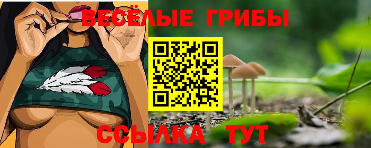 Галлюциногенные грибы Magic Shrooms Челябинск